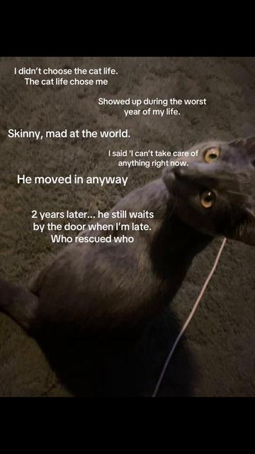 @catmomjailee123