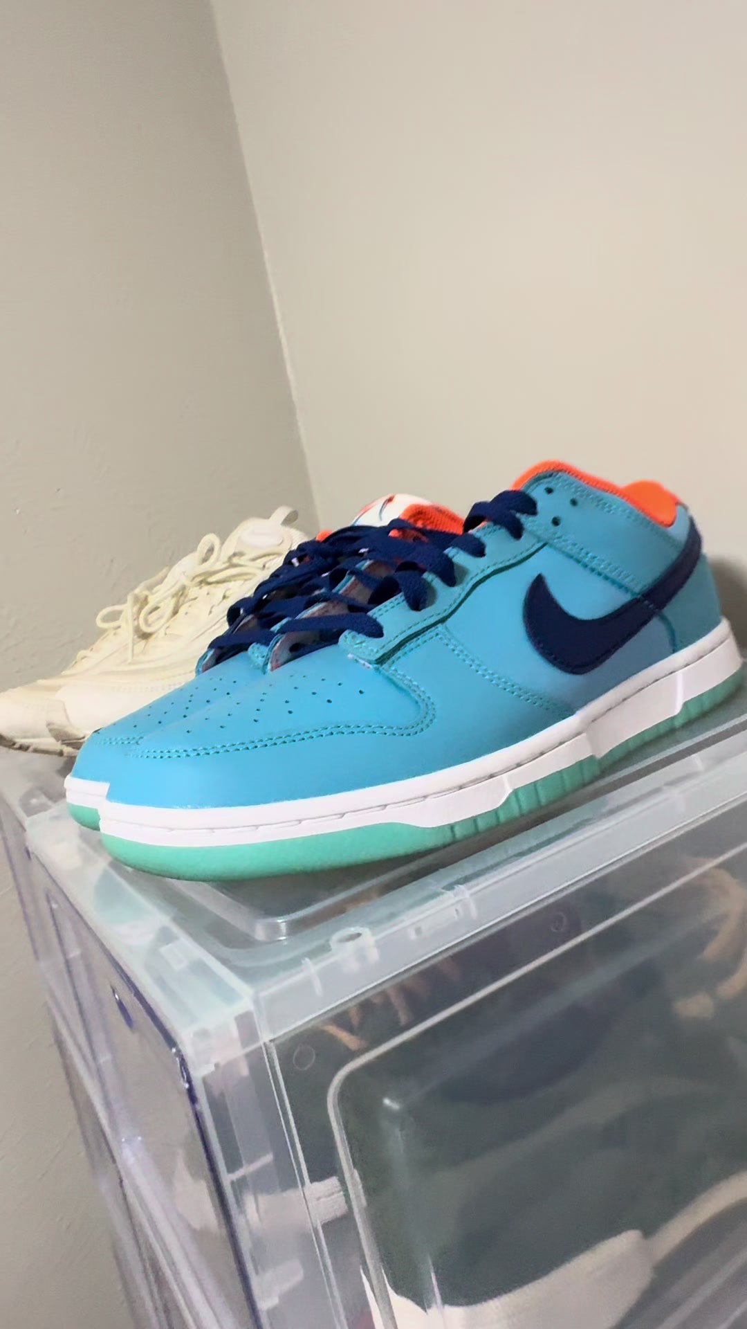 @The Shoenobi