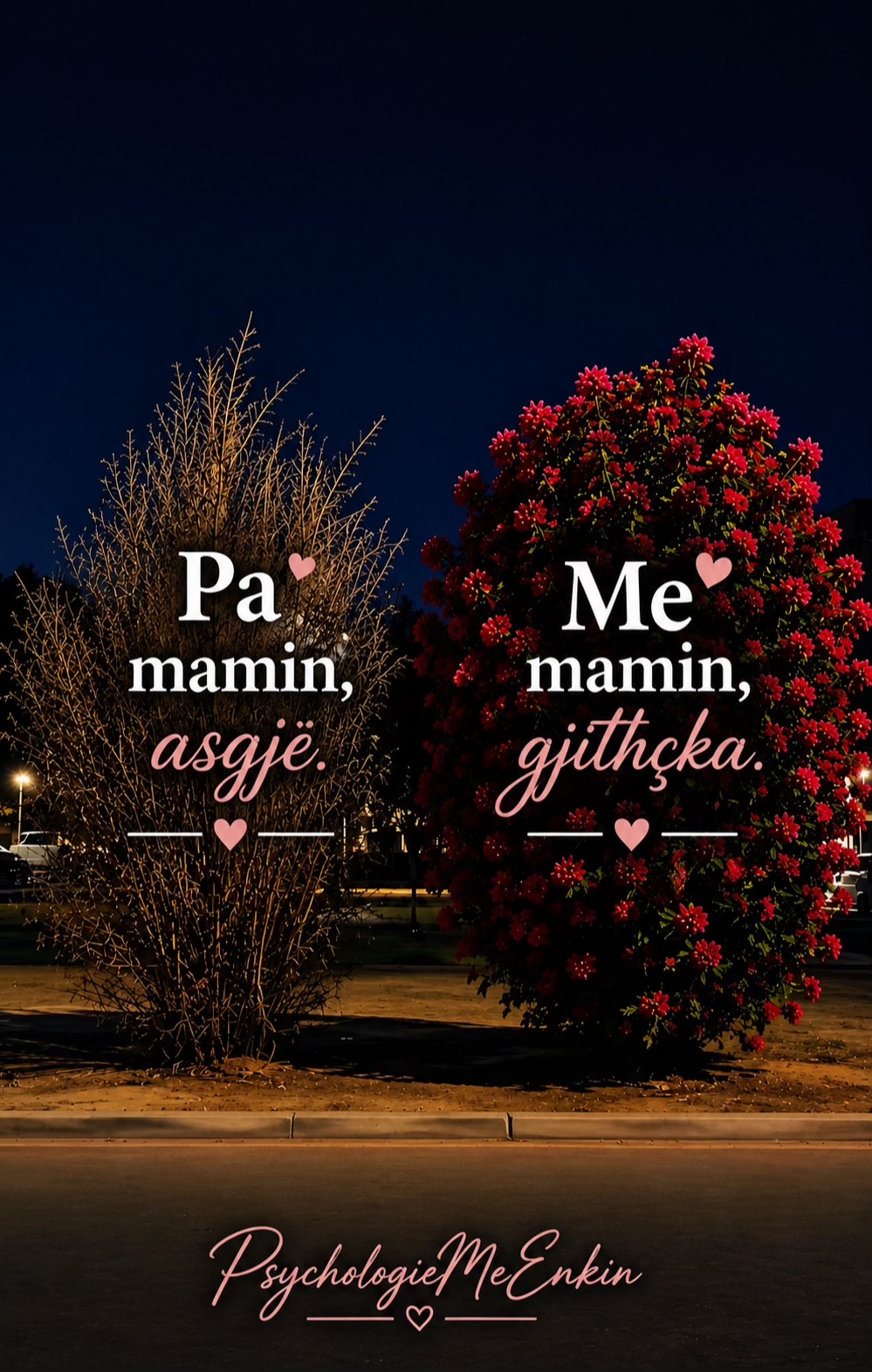 @&tilde;&rdquo;*&deg;&bull; PsychologieMeEnkin &bull;&deg;*&rdquo;&tilde;