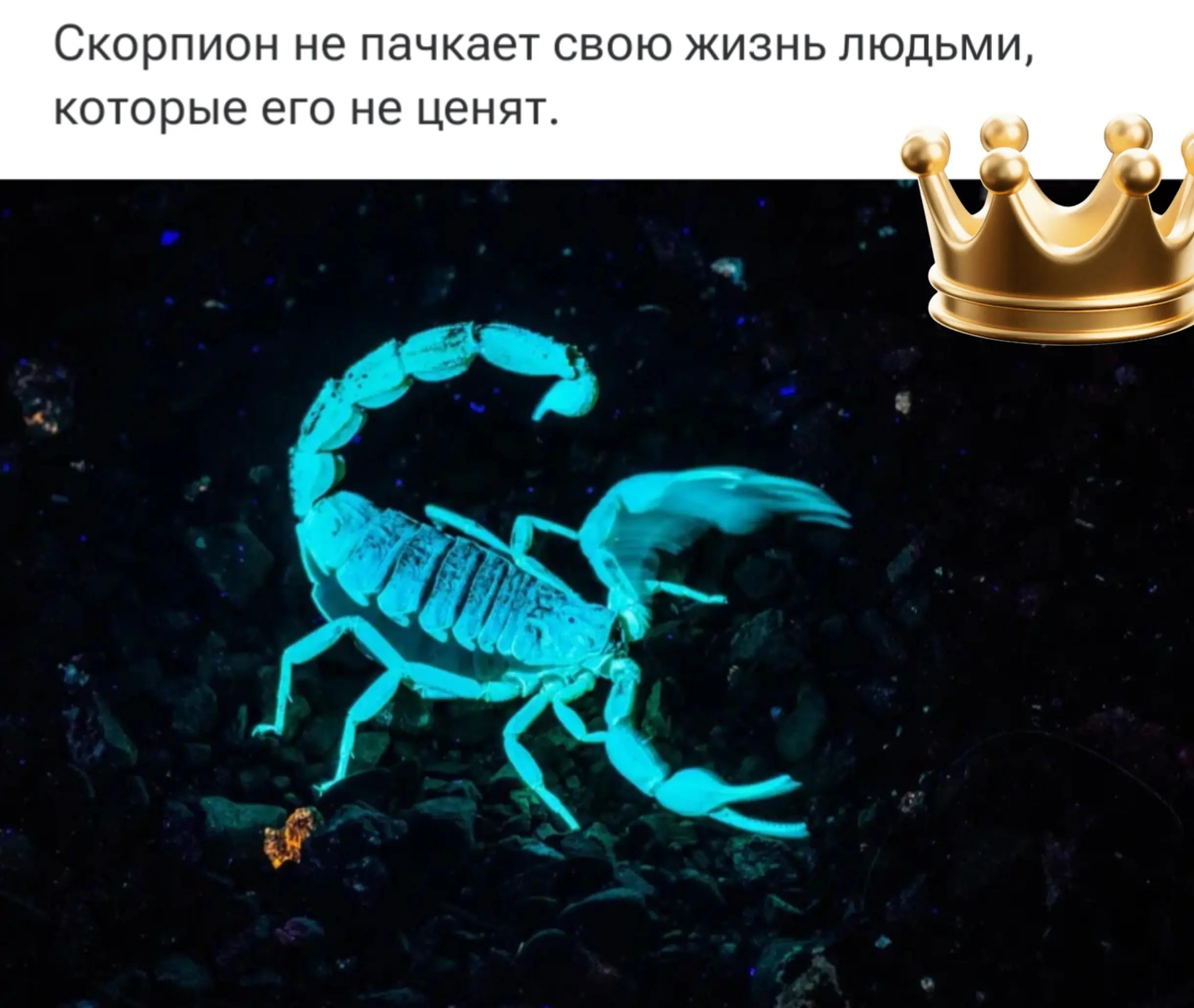 @SamirƏhmədli