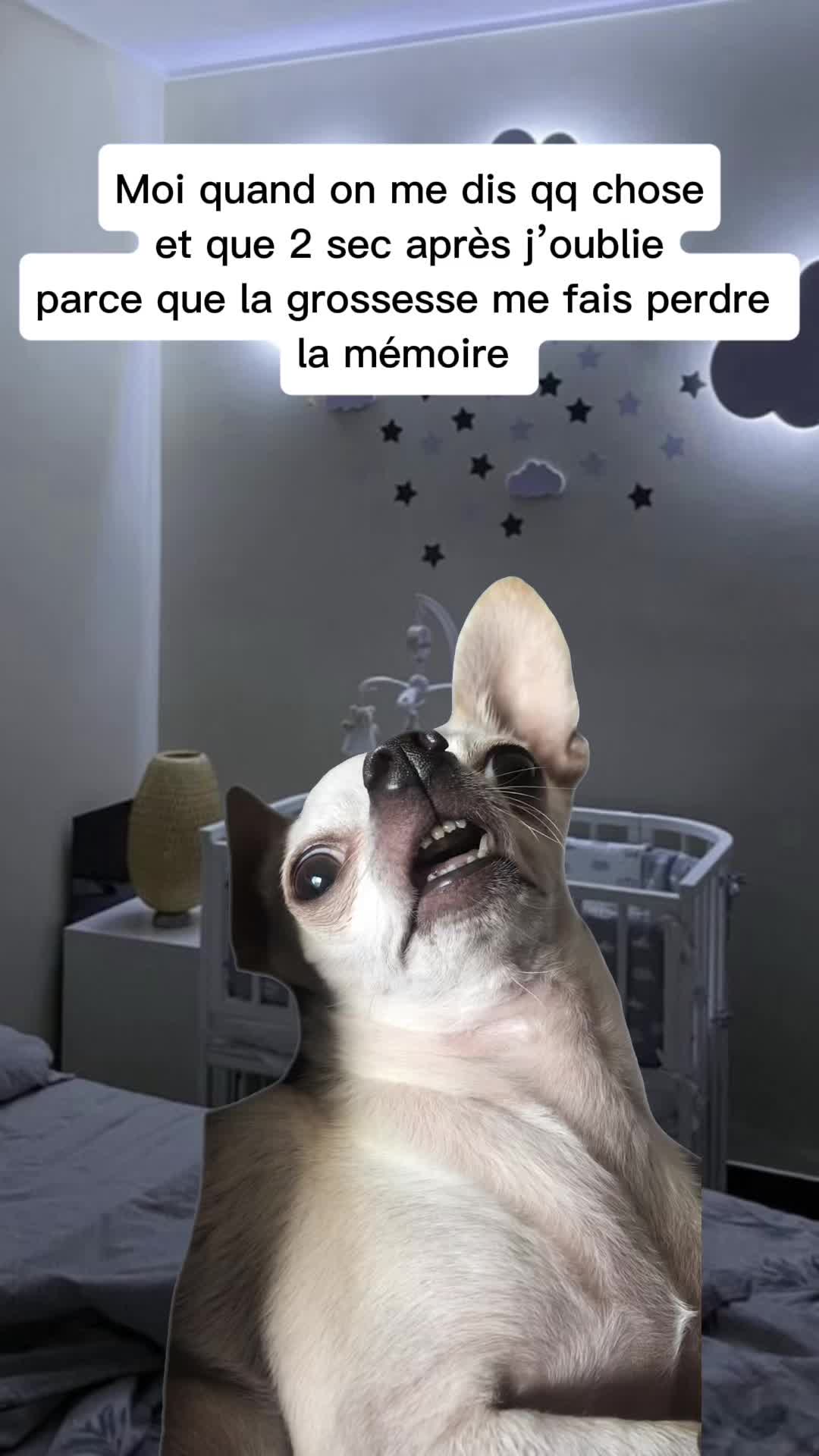 @Ash😶&zwj;🌫️