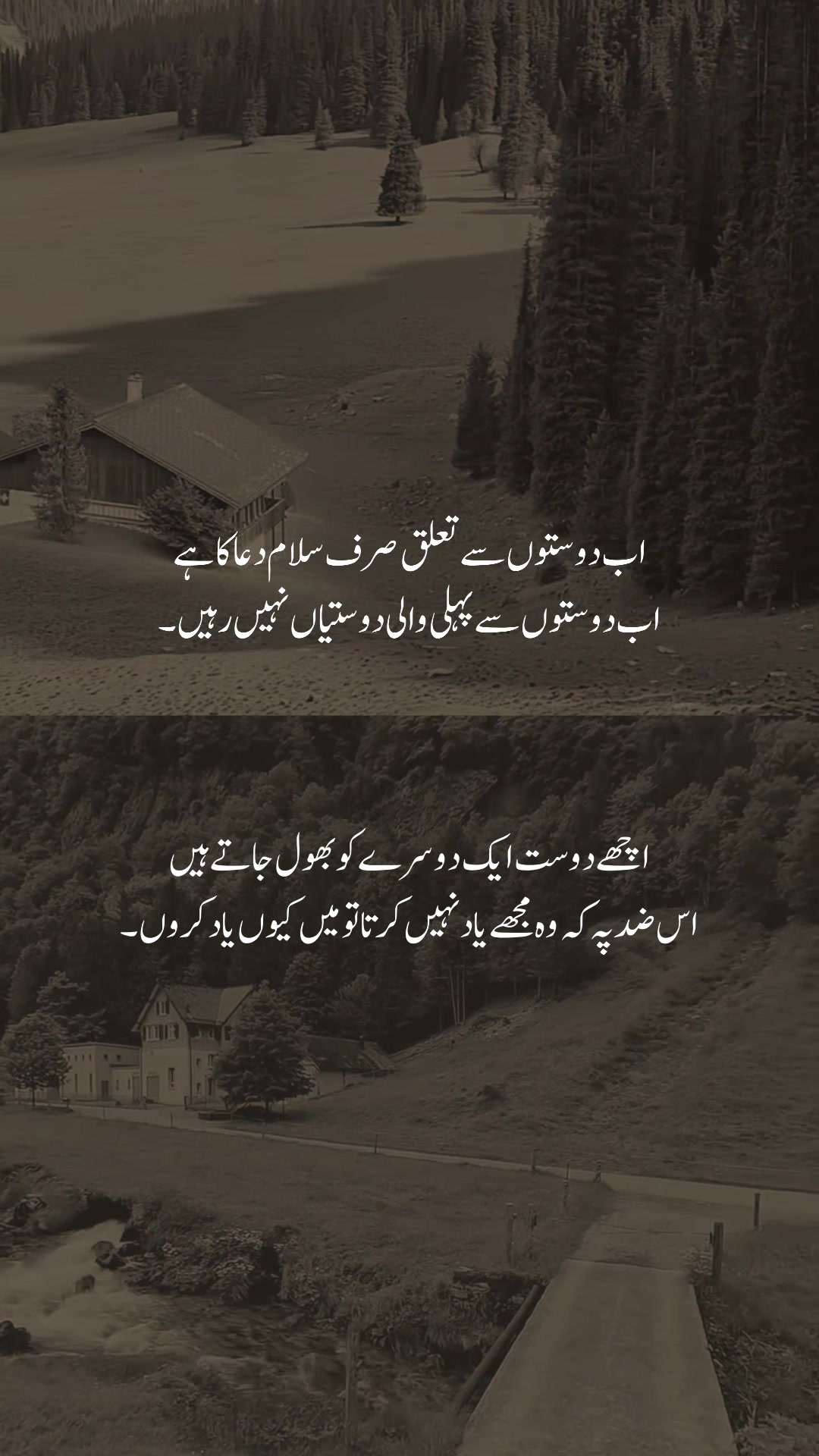 @𓆩شیراز𓆪