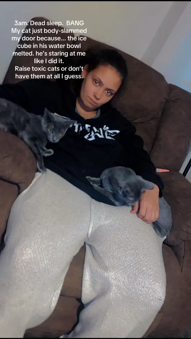 @catmomjailee123