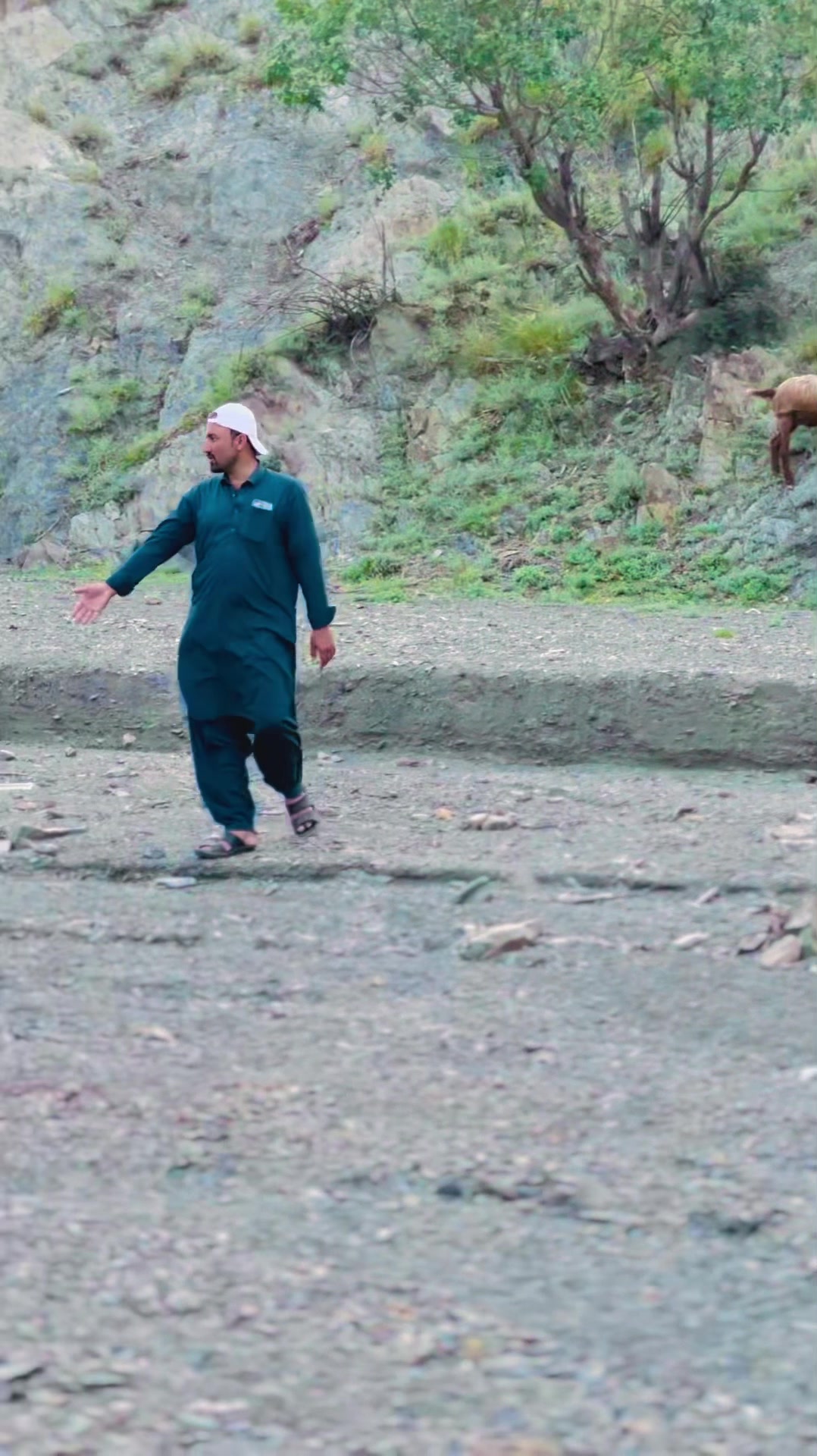 @🚩 باغی میانی 🚩