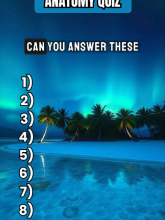 @Quizwiz Wonderland
