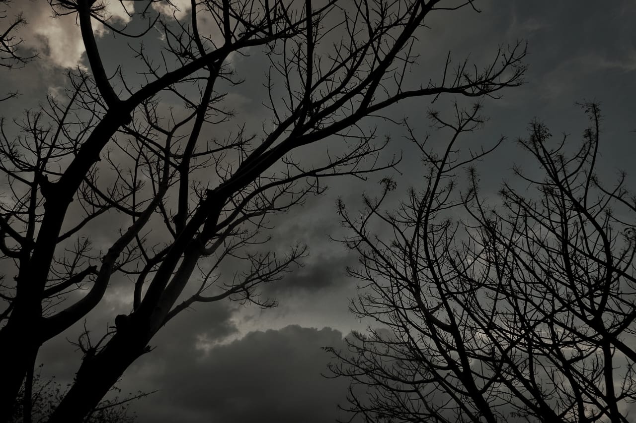 @🌙✨𝑫𝑰𝑮𝑨𝑺𝑺_𝟏𝟐