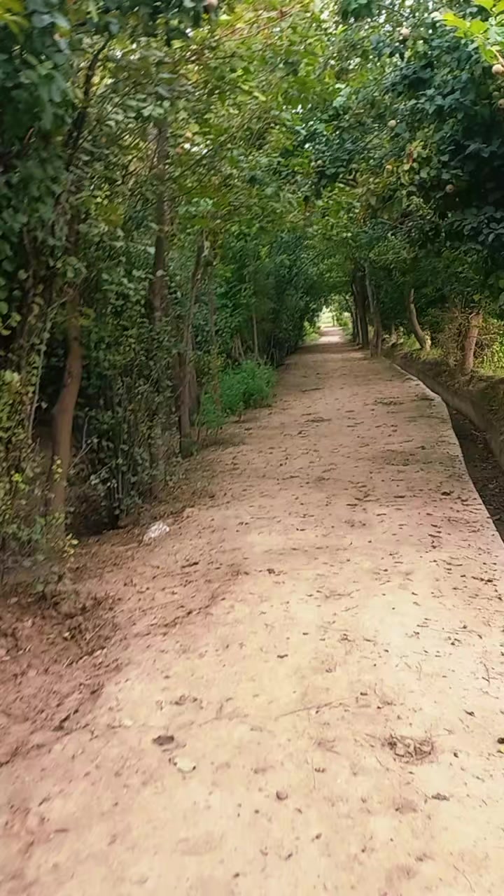 @𝐌𝐫 𝐈𝐫𝐟𝐚𝐧 𝐊𝐡𝐚𝐧