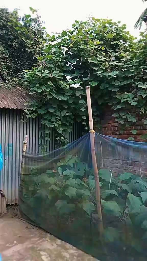 @সুমি