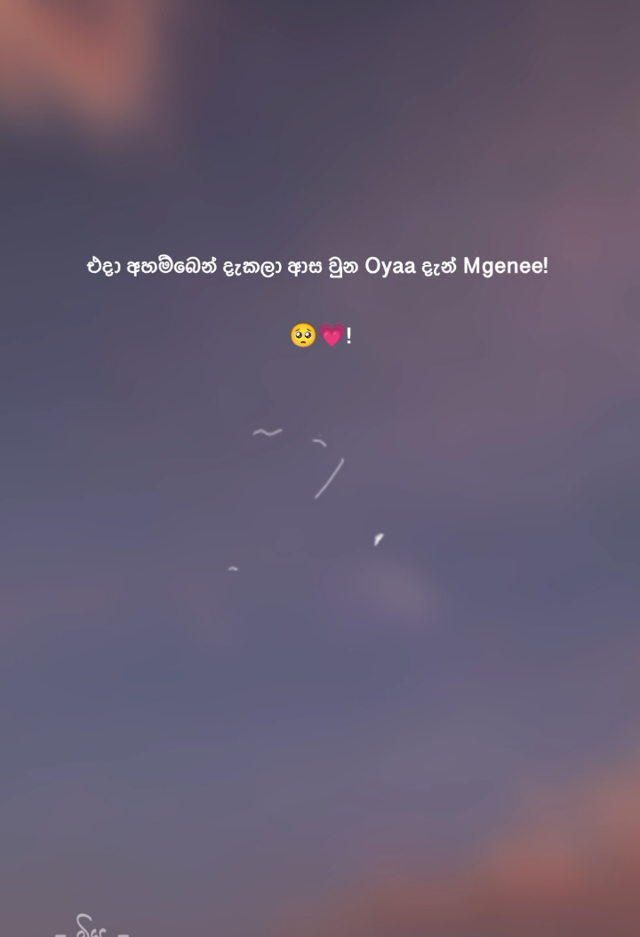 @𝐌𝐢𝐲𝐮𝐮 𝓩 🪭 !&iexcl;