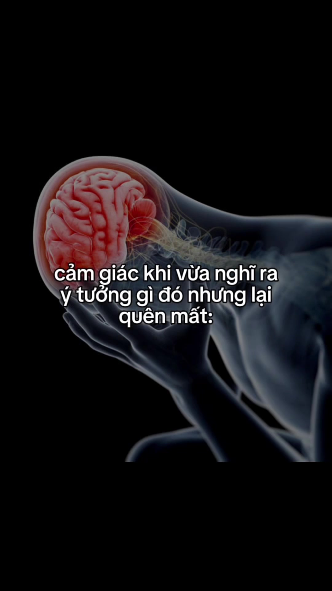 @Lil tốc độ🥀