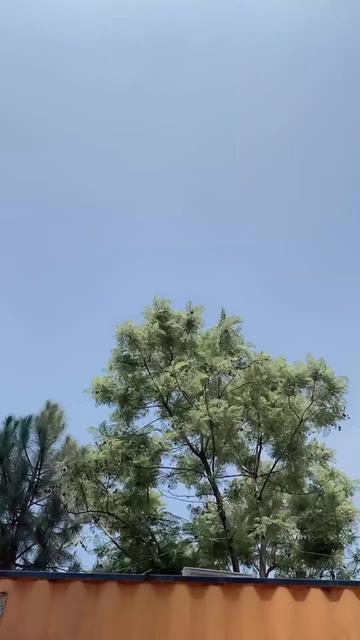 @Musarraf shah Mohmand