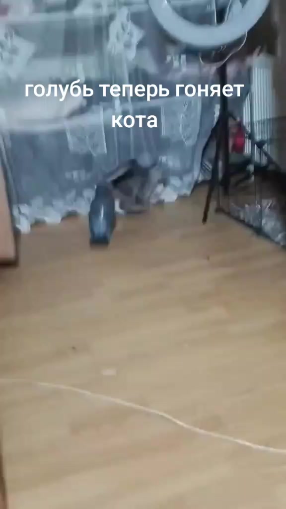 @Имя