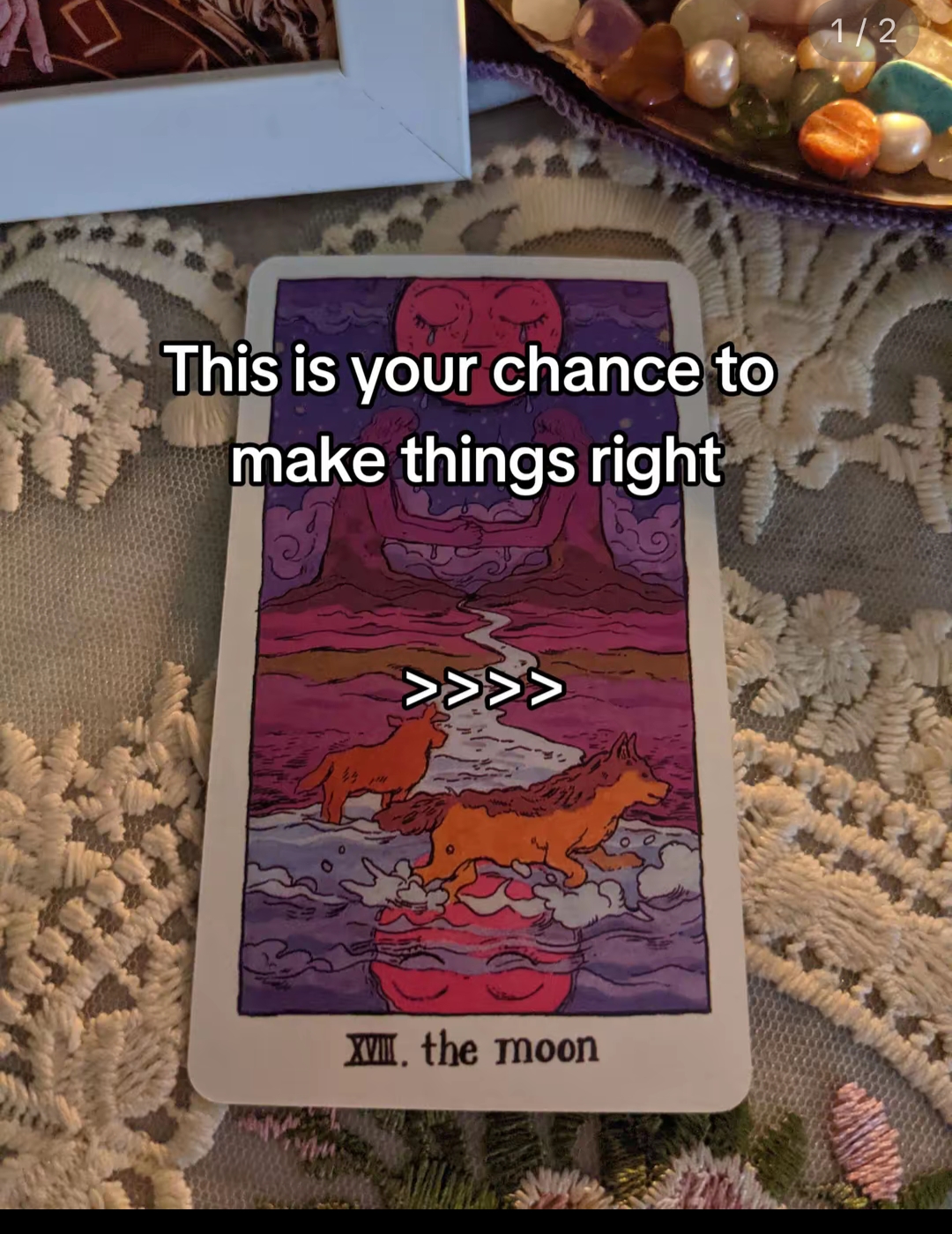 @ROSA🔮