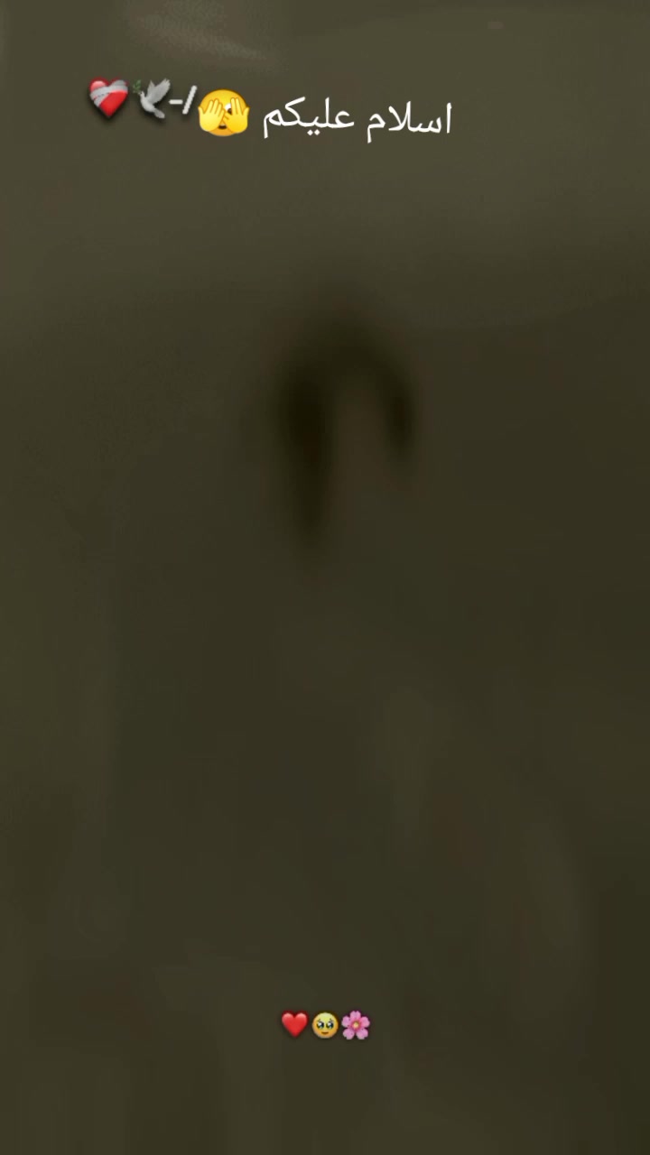 @👑 _𝐒𝐊_313 &deg;᭄