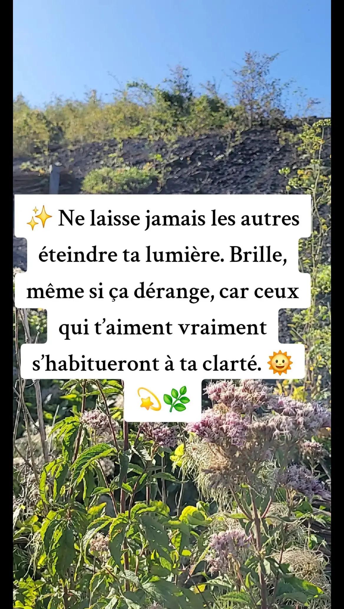 @🐬💚 𝓢𝓪𝓫𝔂 𝓝𝓸𝓾𝓻𝓻𝔂 ✨🌺