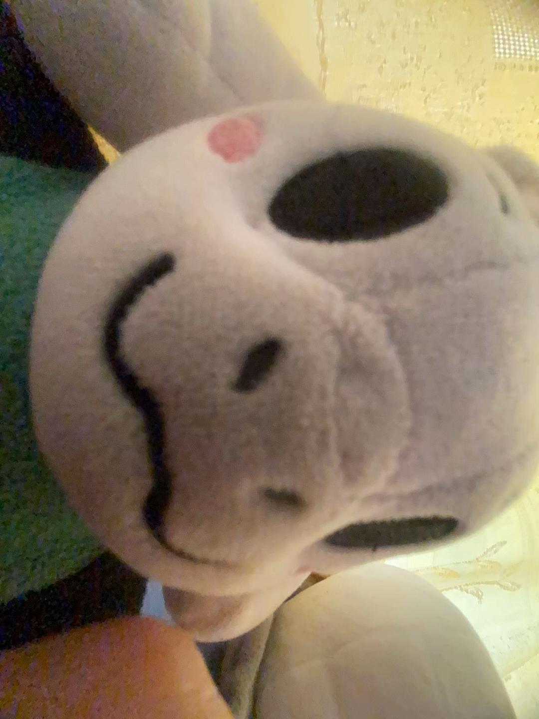 @Ralsei plush owner 25