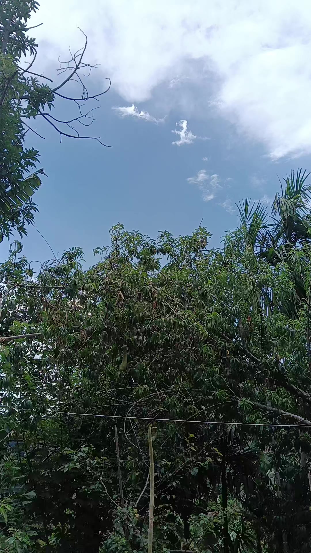 @🇦🇪💞 குவைத் மகாராணி 💞🇱🇰