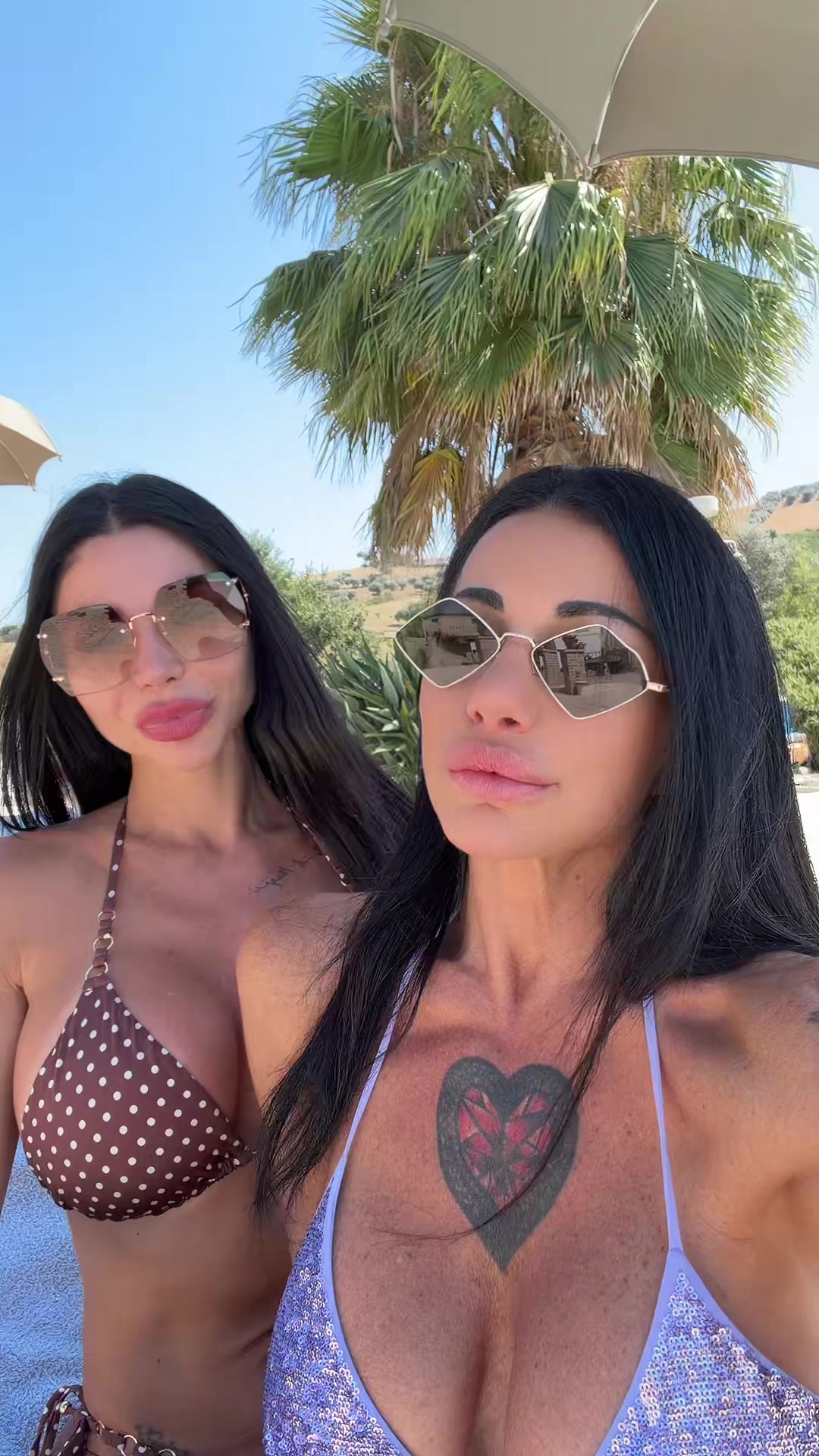 @priscilla.salerno