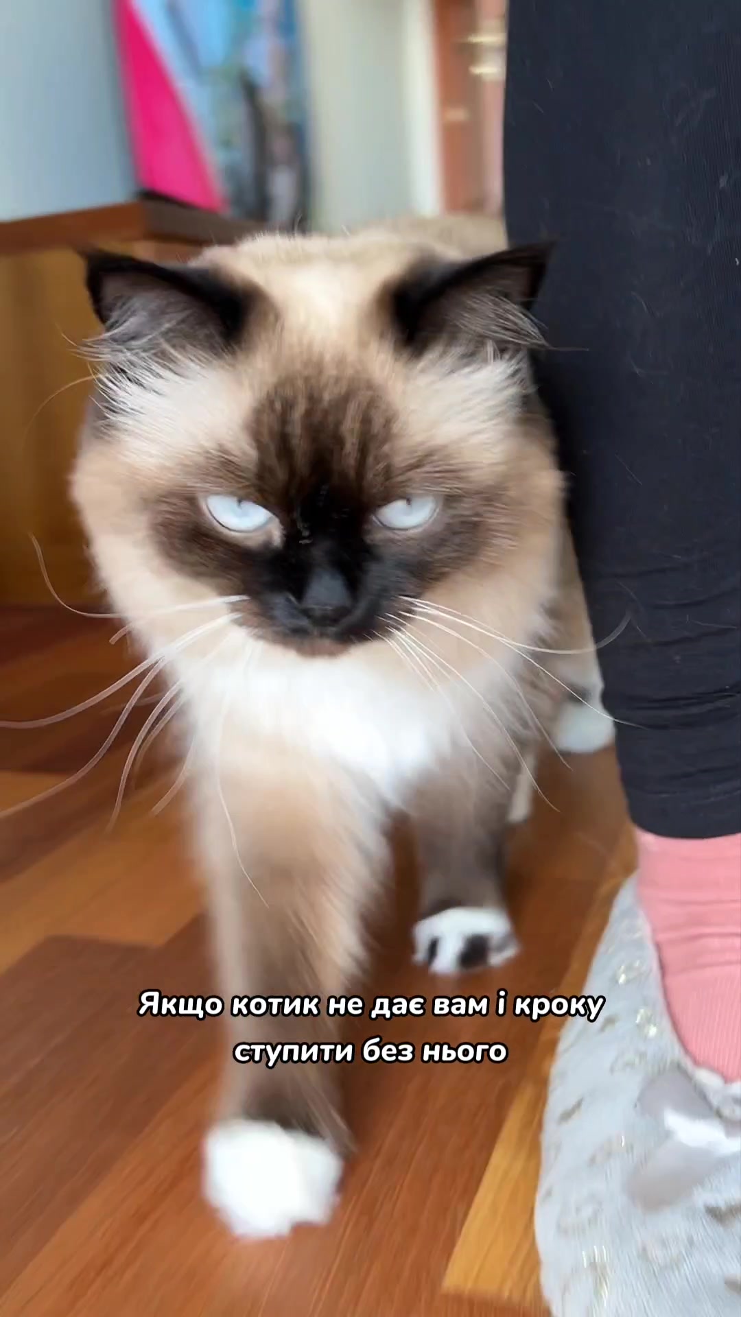 @Місс КІСЯ