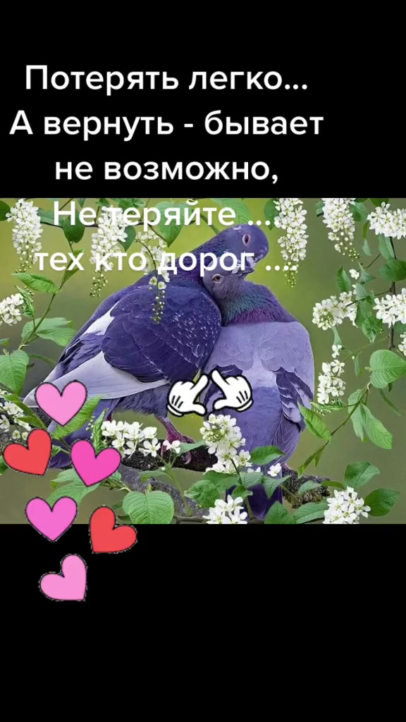 @@ Сарыкбай 💯