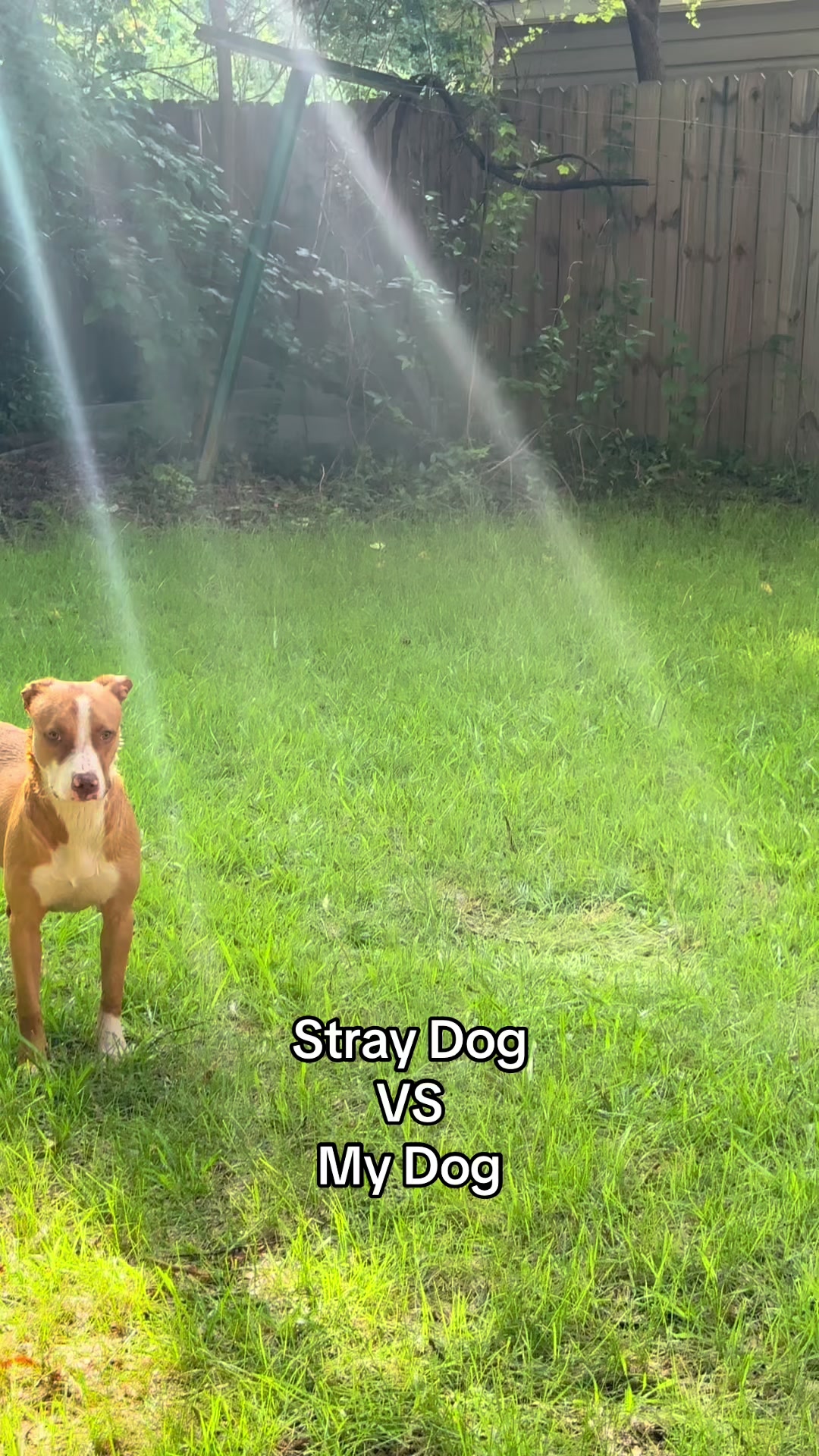 @Misty Naholnik