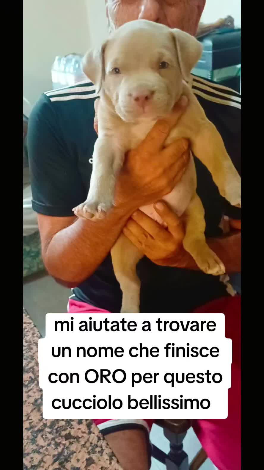 @Alfio Arcifa Magistrale