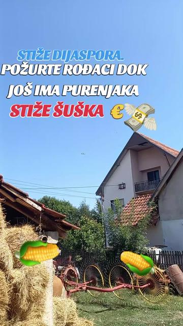 @🇷🇸🦬VLADIMIR 81🦬🇷🇸