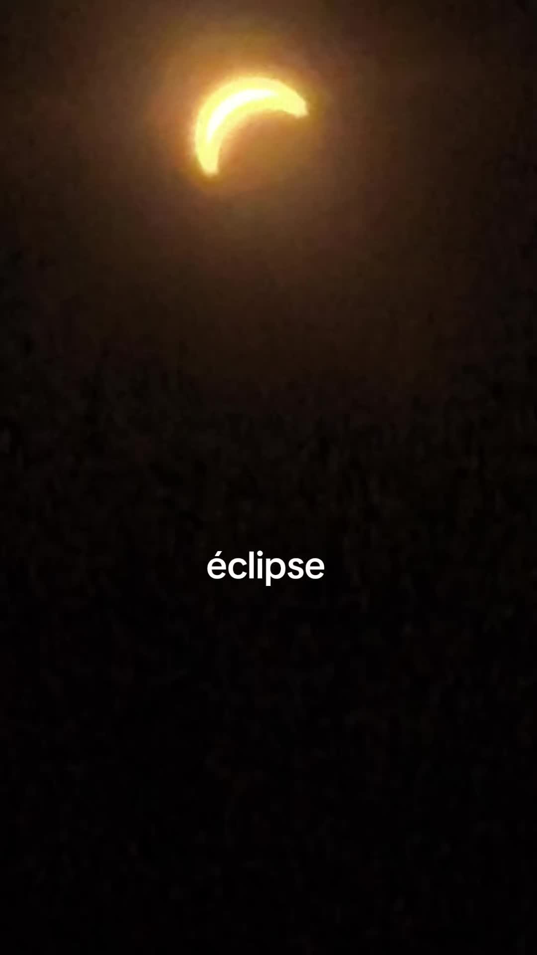 @lǝıɔıɟɟo&macr;ʎɐɹdsoǝpuɐpuɐp&copy;️