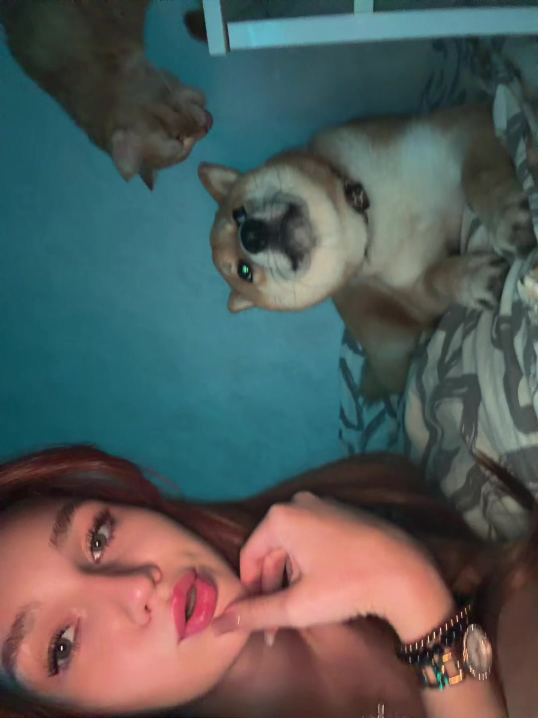 @viixyys