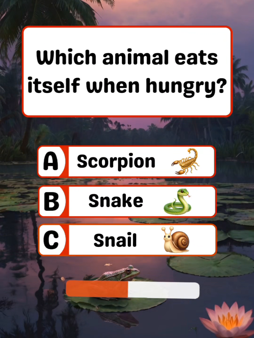 @Quiz Whiz