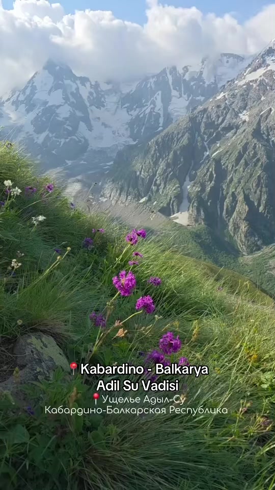 @черкесские федаи