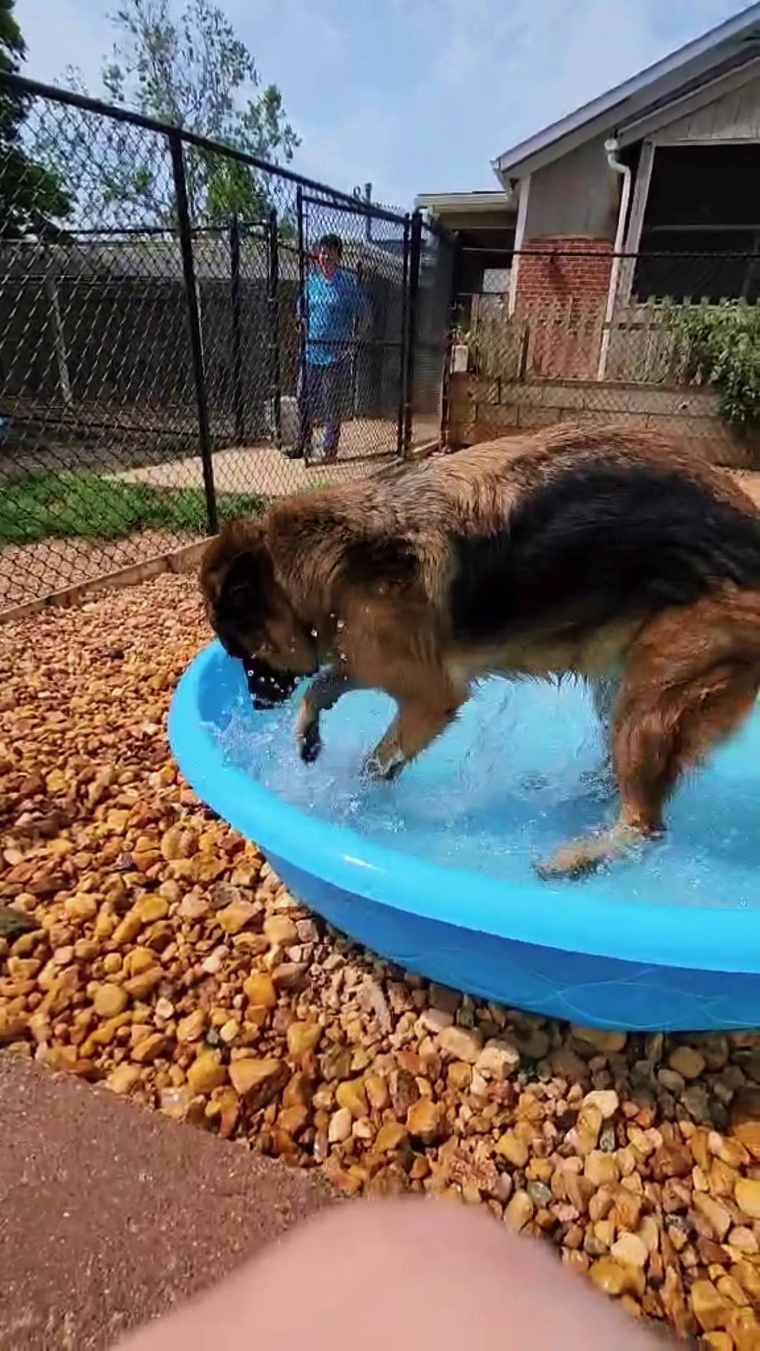 @Mountain Run Kennel