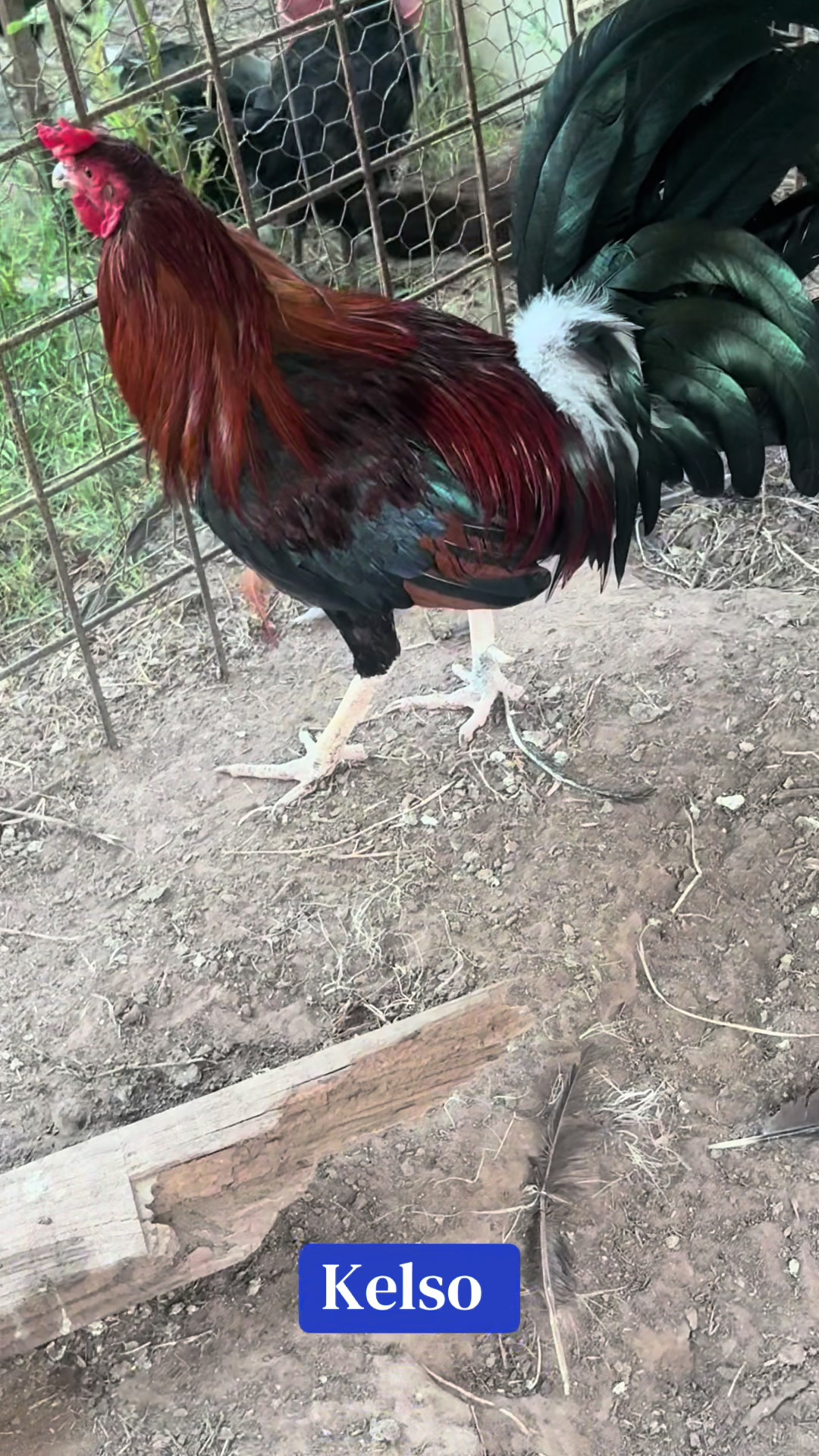 @Bryan Gamefarm