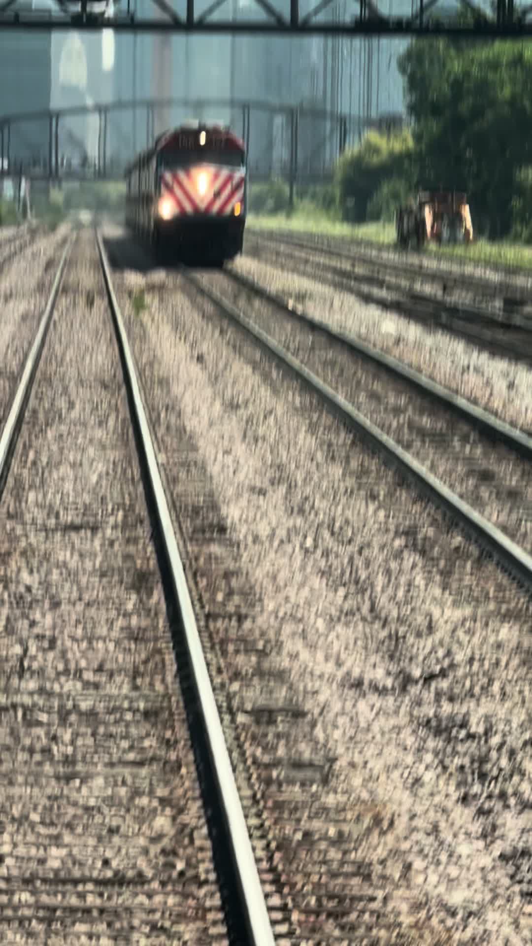 @Ti&ntilde;o