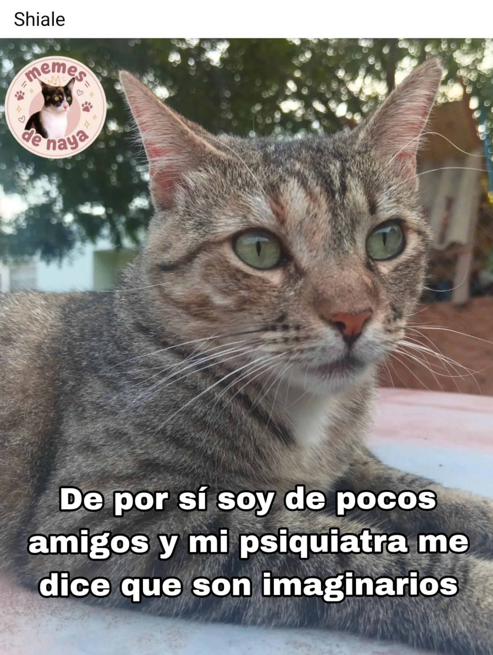 @oyeeee Naya