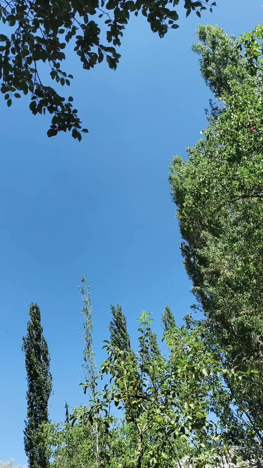 @İsa Şimşek