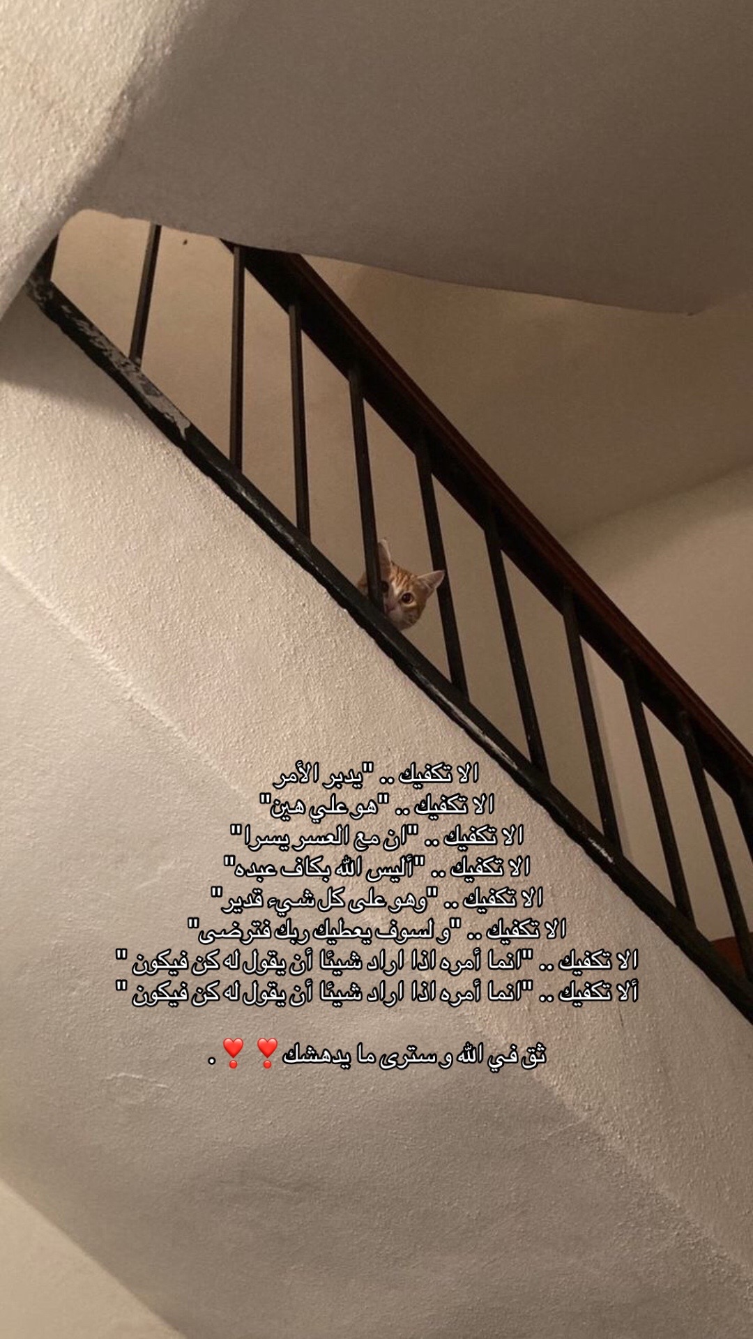 @20_سبتمِبر ♥️🧸.