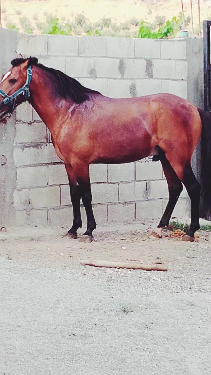 @Metin G&uuml;rb&uuml;z