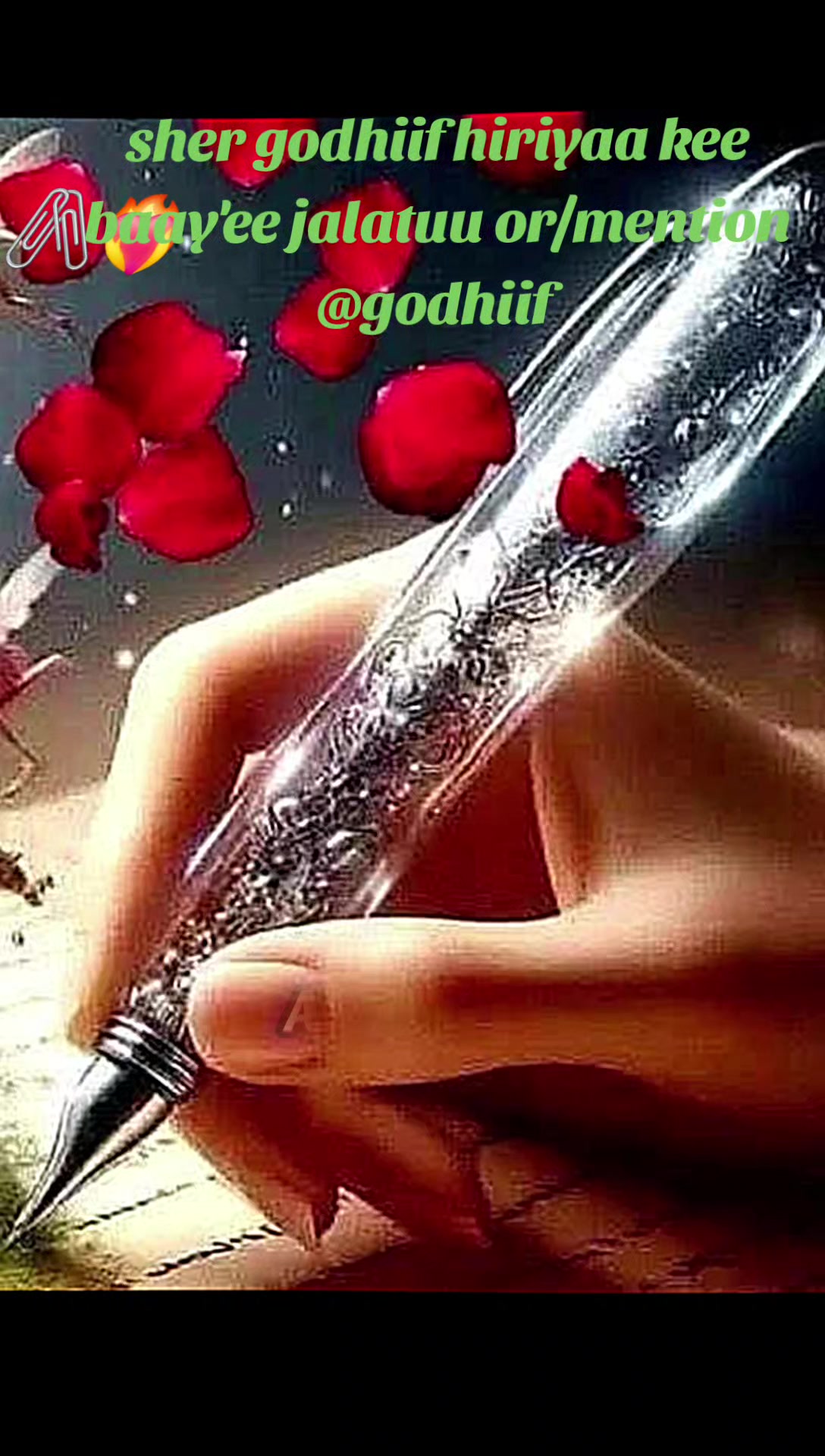 @waan ofii 667🦋❤️&zwj;🔥👉🌲✅️🌹