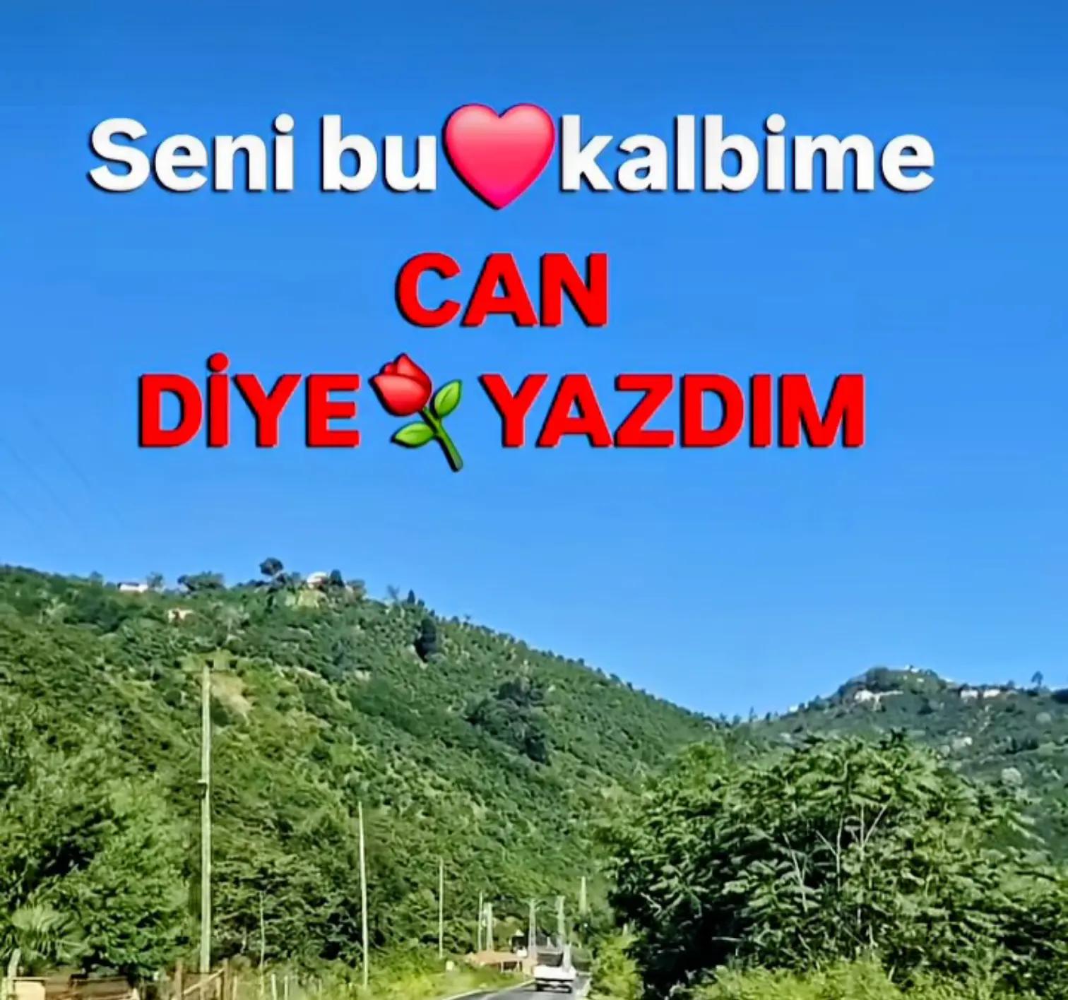 @SULTANIM