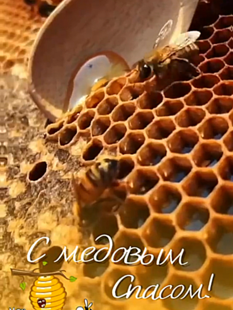 @Татьяна