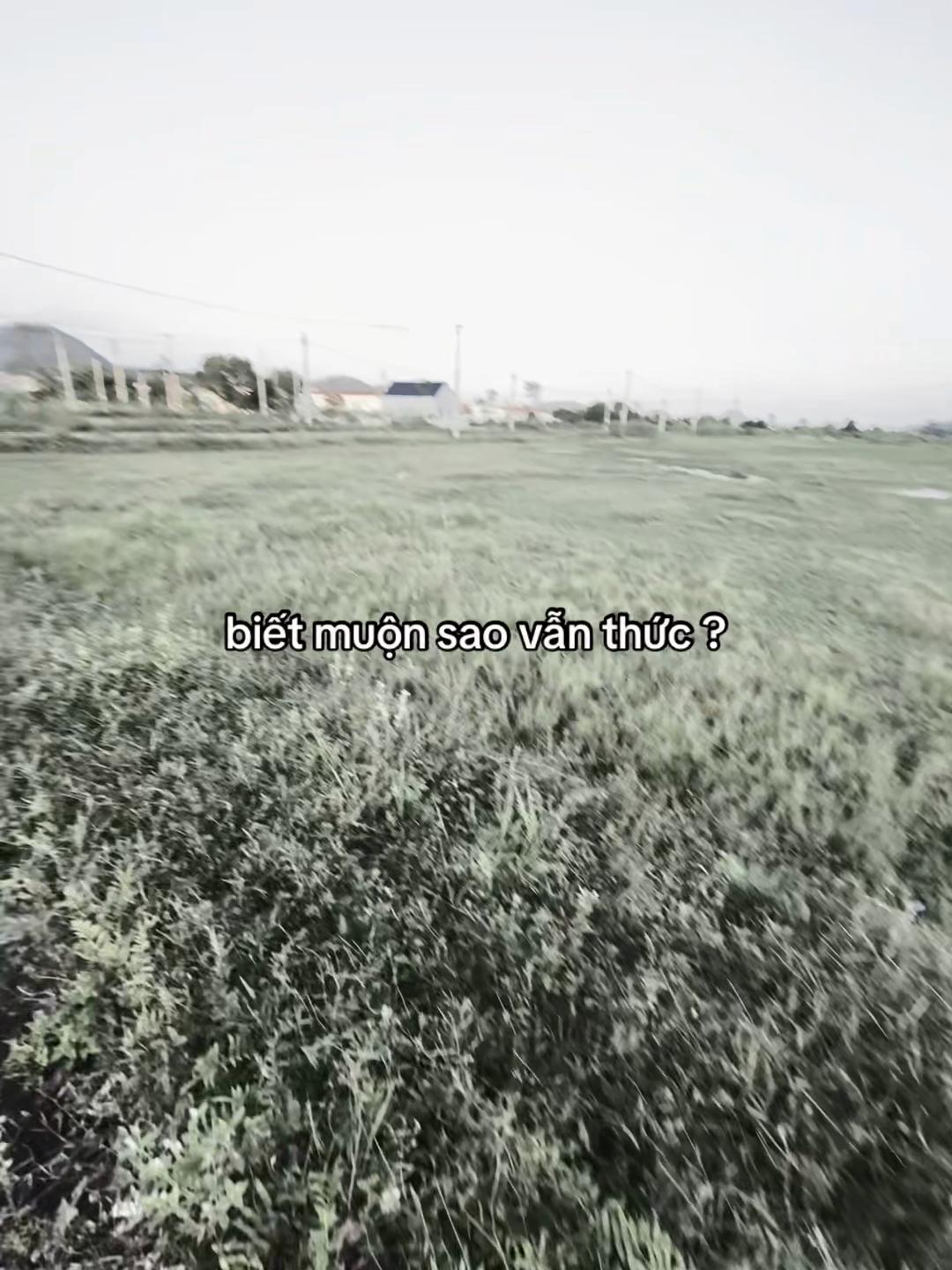 @𝐍𝐠𝐮𝐲𝐞̂̃𝐧 𝐇𝐮̀𝐧𝐠🧸