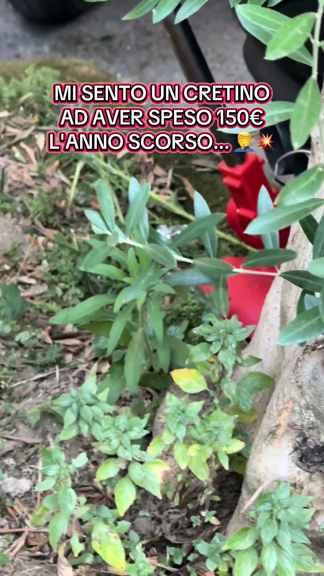 @Nico Senatore