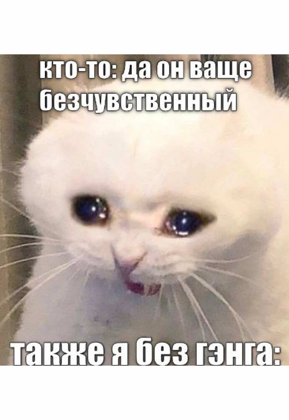 @tender