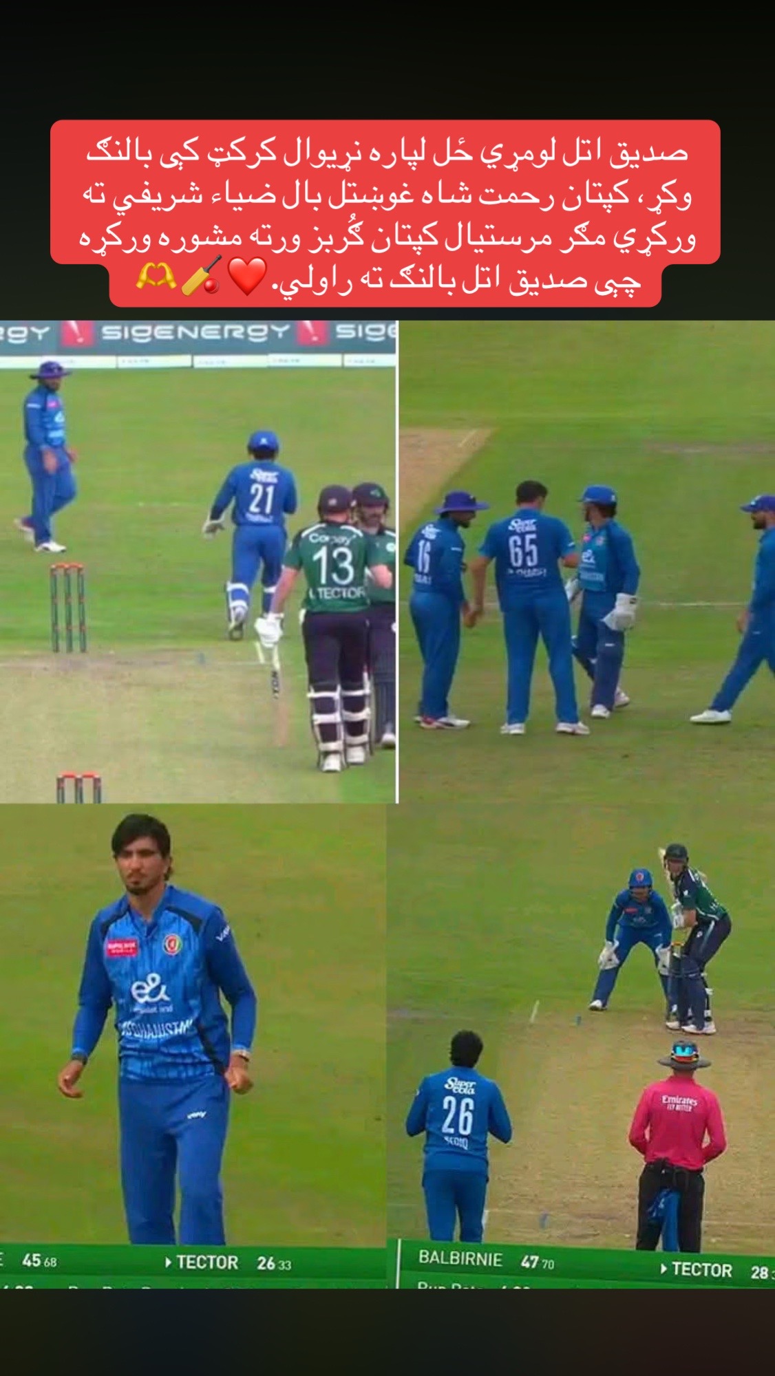 @LQ_Edit ✔