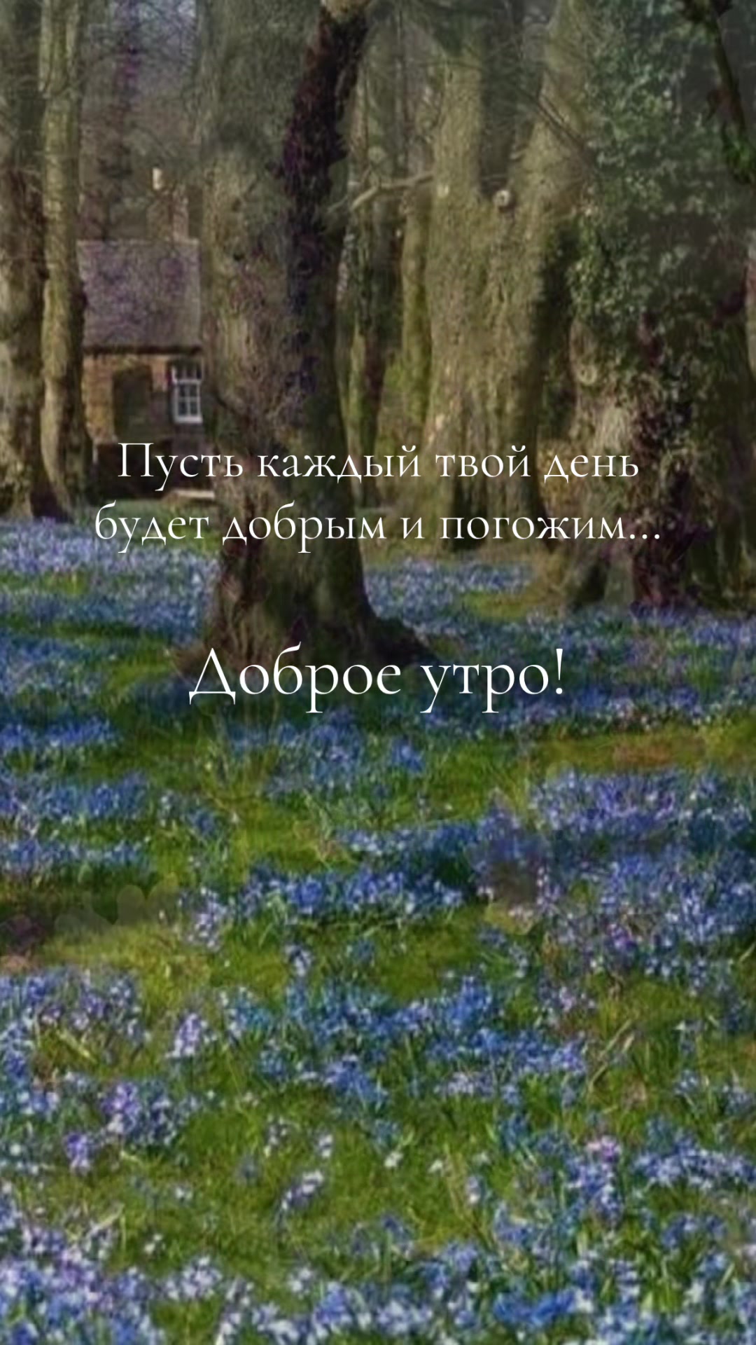 @Файруза Ковалинская