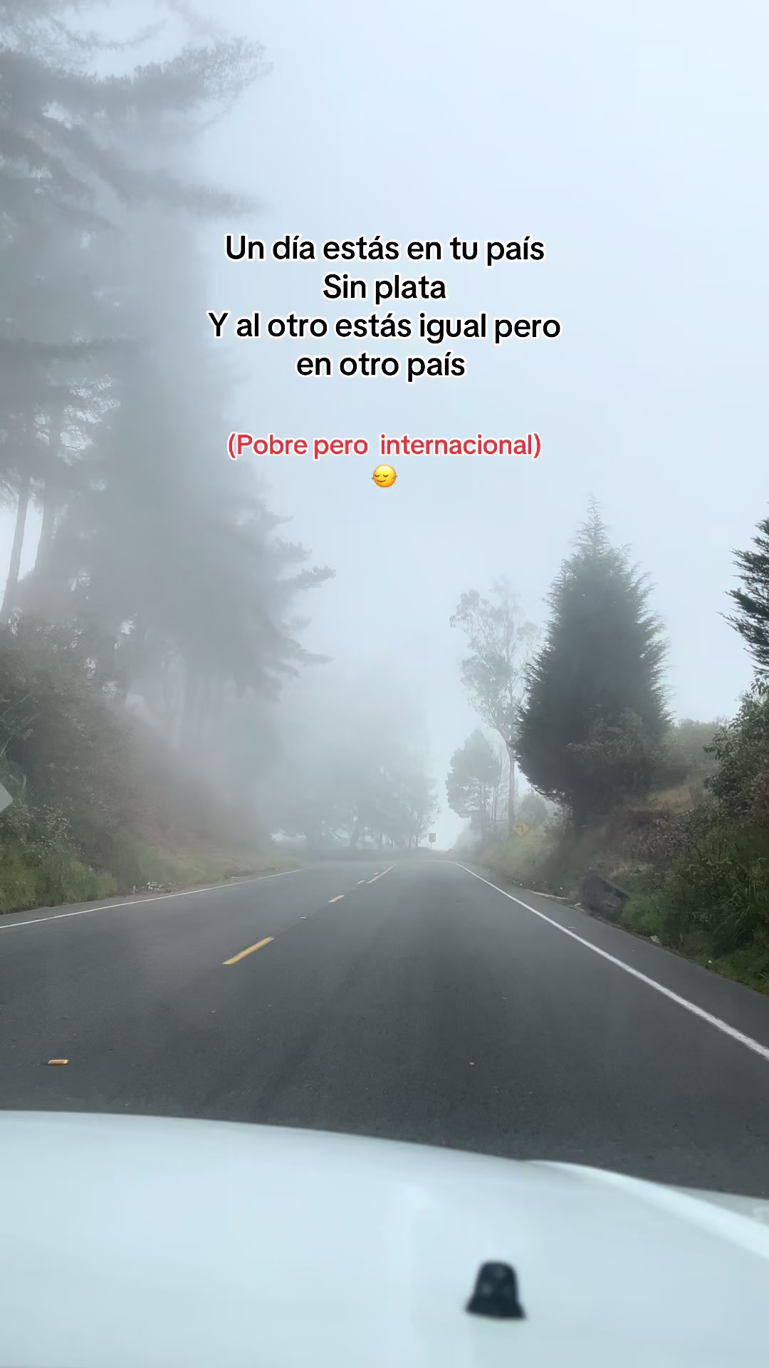 @Ɩıʑ ʄıɛཞཞơ
