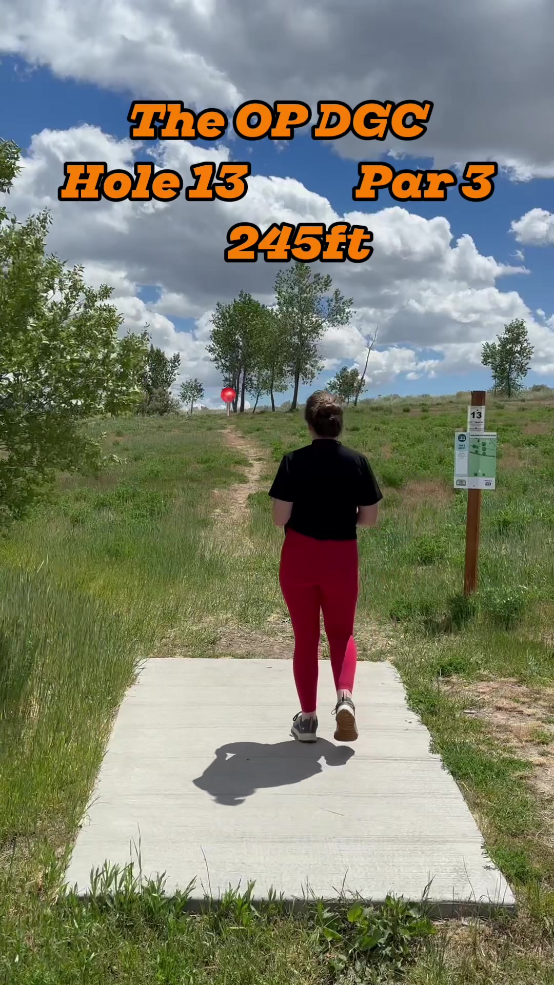 @HoustonWeHaveDiscGolf