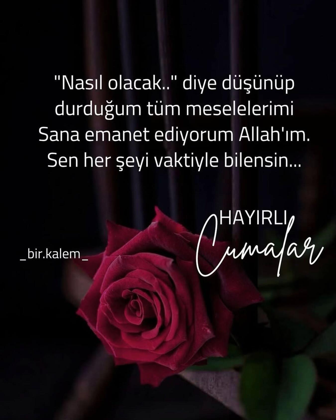 @Enestlhasky