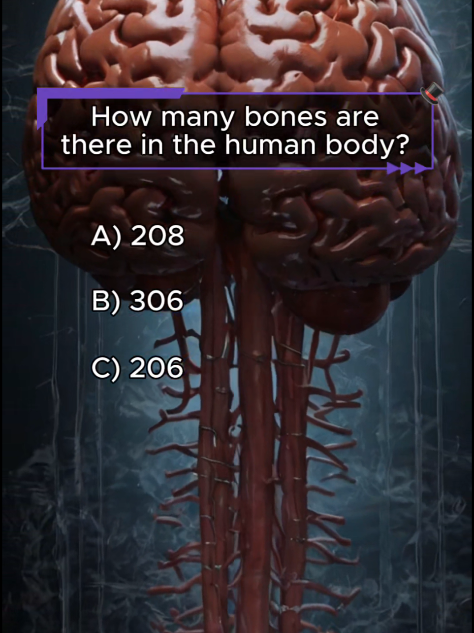 @Quiz Whiz